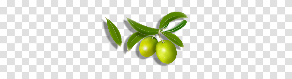 Olives, Vegetable, Plant, Green, Fruit Transparent Png