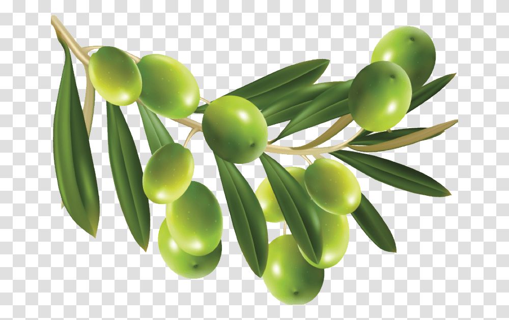 Olives, Vegetable, Plant, Green, Tree Transparent Png