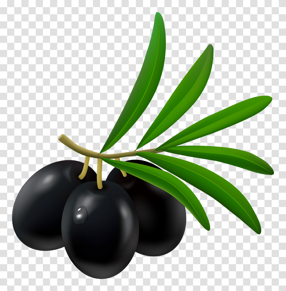 Olives, Vegetable, Plant, Lamp, Fruit Transparent Png