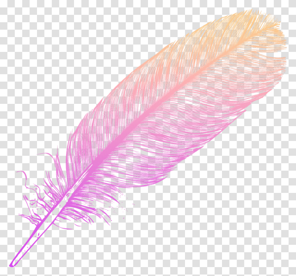 Ombre Feather Feathers Native Boho Pretty Decals Feather Ombre, Leaf, Plant, Bird, Animal Transparent Png