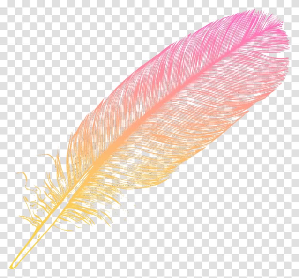 Ombre Feather Feathers Native Boho Pretty Decals Oval, Leaf, Plant, Silhouette, Bird Transparent Png