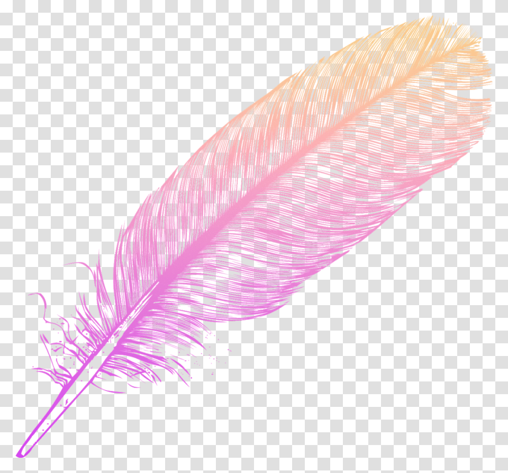 Ombre Feather Feathers Native Sticker By Candace Kee, Leaf, Plant, Silhouette, Graphics Transparent Png