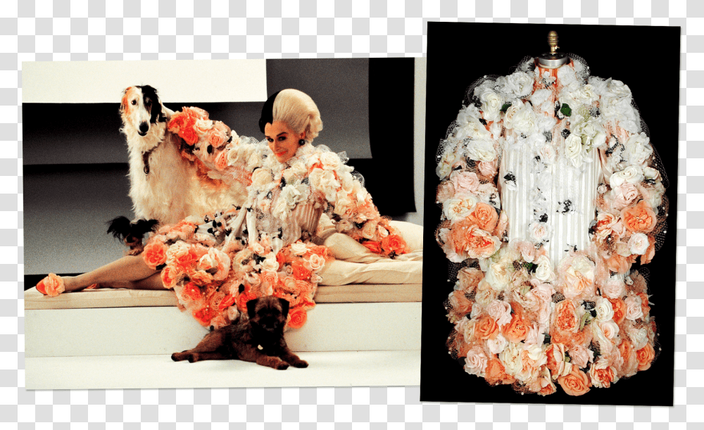 Ombred Silk Organza Decorated With Tulle And Silk Roses Glenn Close Cruella De Vil Costumes, Person, Plant, Flower Transparent Png