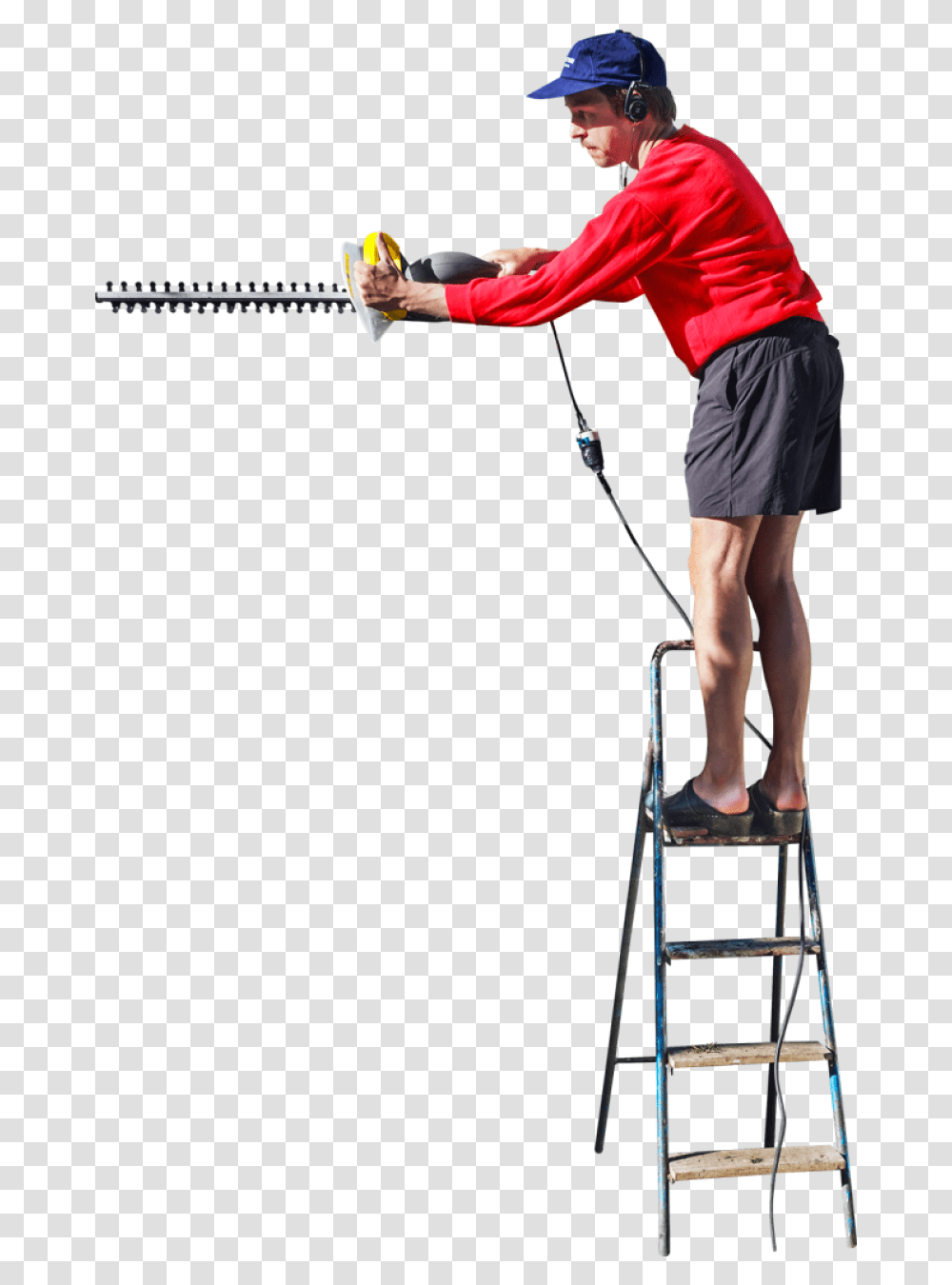 On A Ladder Cutting The Hedge Image People Ladder, Person, Human, Furniture, Sport Transparent Png