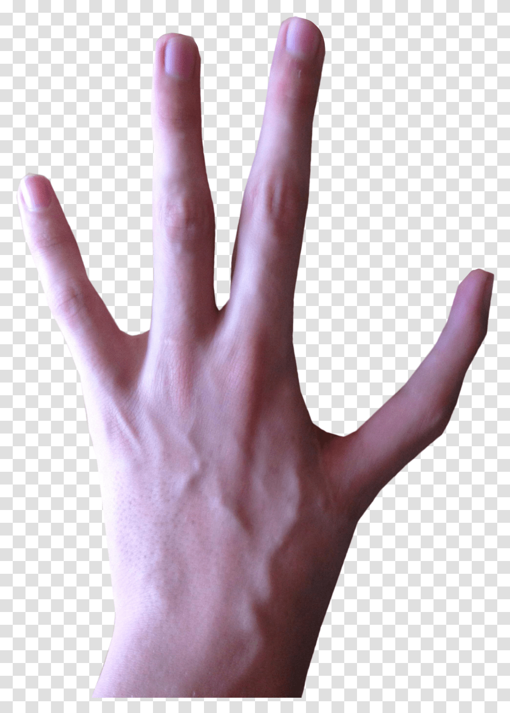 On Hand Clipart Banner Free Library 4 Fingered 4 Finger Hand, Person, Human, Wrist Transparent Png