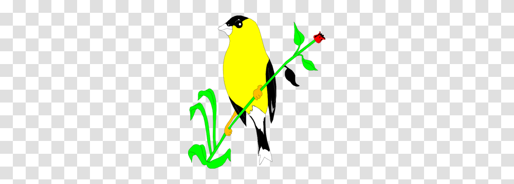 On Images Icon Cliparts, Bow, Bird, Animal, Canary Transparent Png