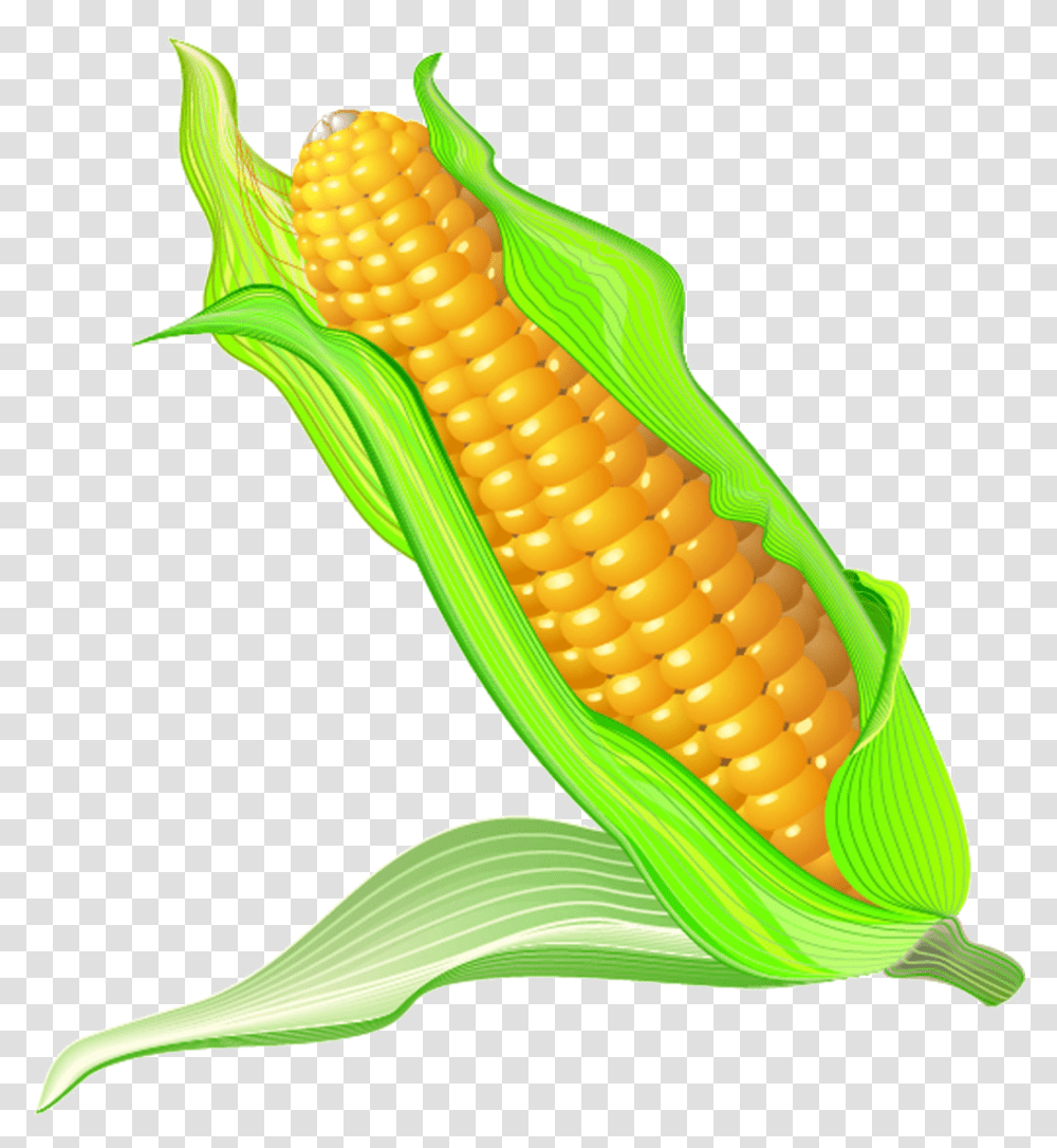 On The Cob Cartoon Transprent Free Maize Cartoon, Plant, Corn, Vegetable, Food Transparent Png