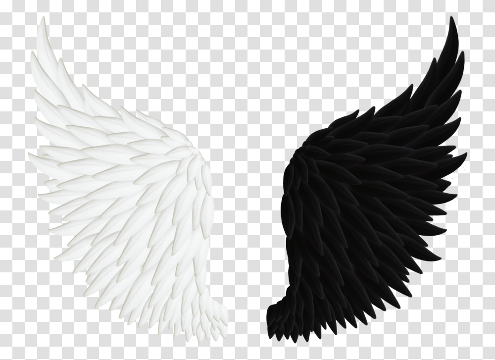 On Wings Of Angel, Bird, Animal, Swan Transparent Png