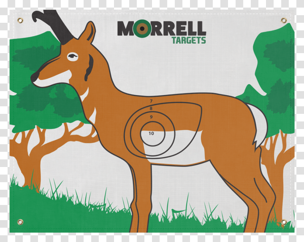 Onasp Polypropylene Archery Target Face Nasp 3d Targets, Mammal, Animal, Wildlife, Deer Transparent Png