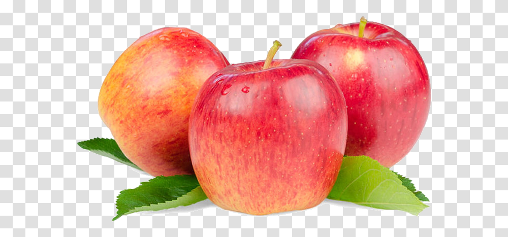 Once Bitten Smitten Apple, Plant, Fruit, Food Transparent Png