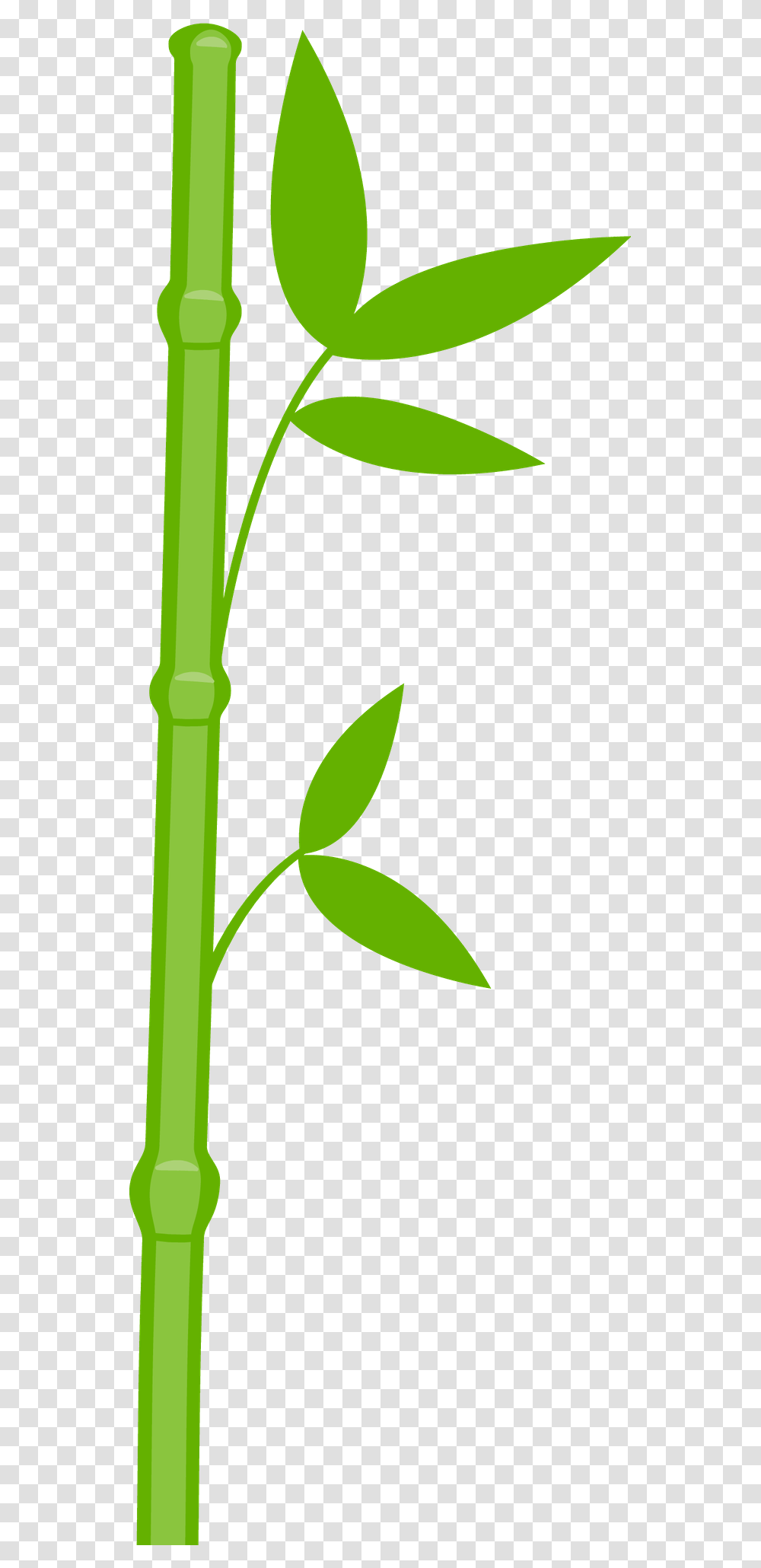 One Clipart Bamboo Bambu Panda, Plant, Scissors, Blade, Weapon Transparent Png