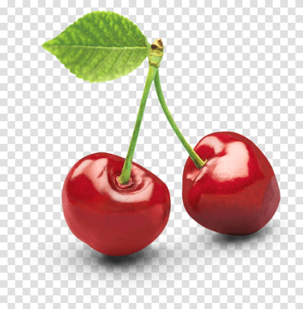 One Clipart Object Picture Black Cherry Vector Transparent Png