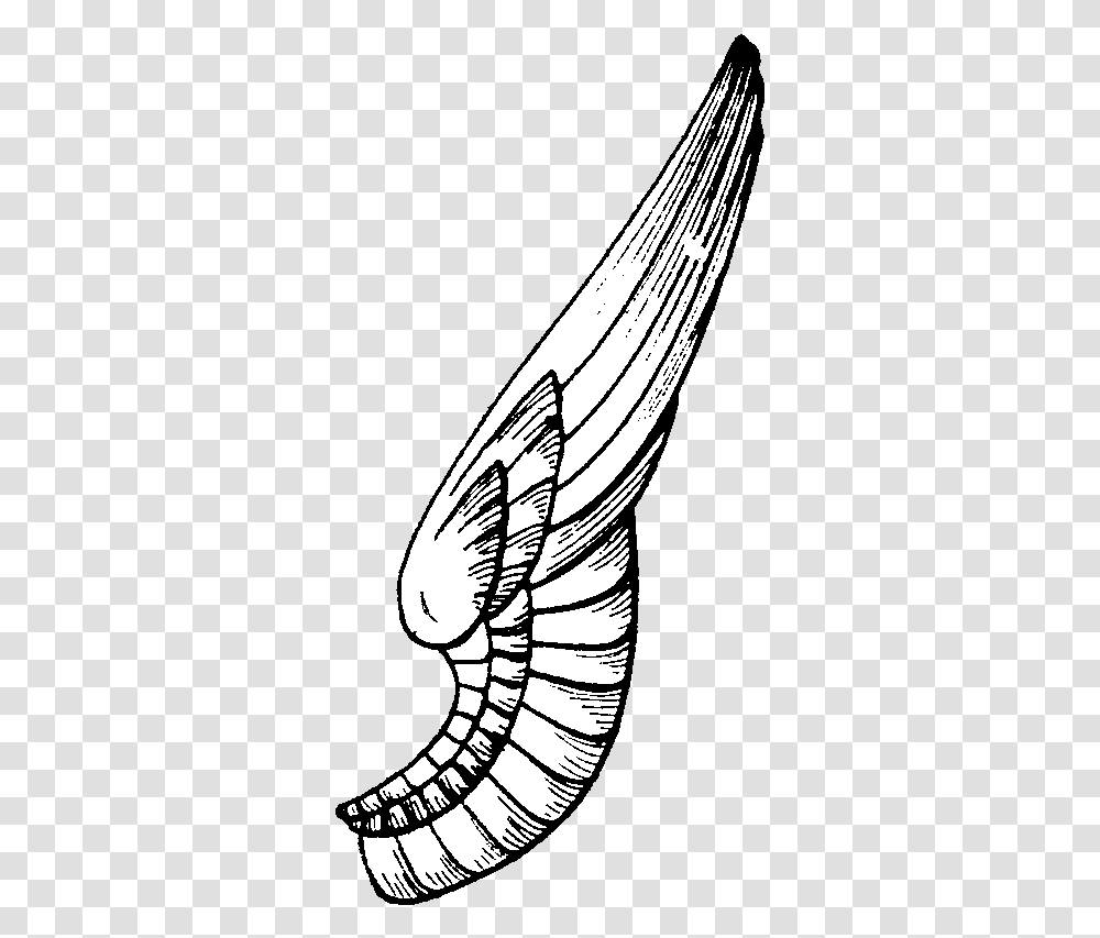 One Side Wings Image With No One Side Wings, Clam, Seashell, Invertebrate, Sea Life Transparent Png
