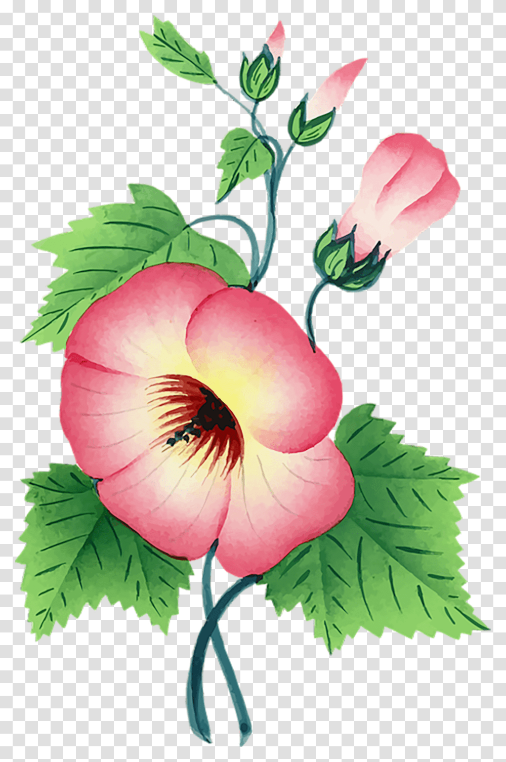 One Stem Flower, Plant, Floral Design Transparent Png