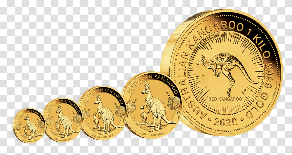 One Tonne Gold Coin, Money, Bird, Animal Transparent Png