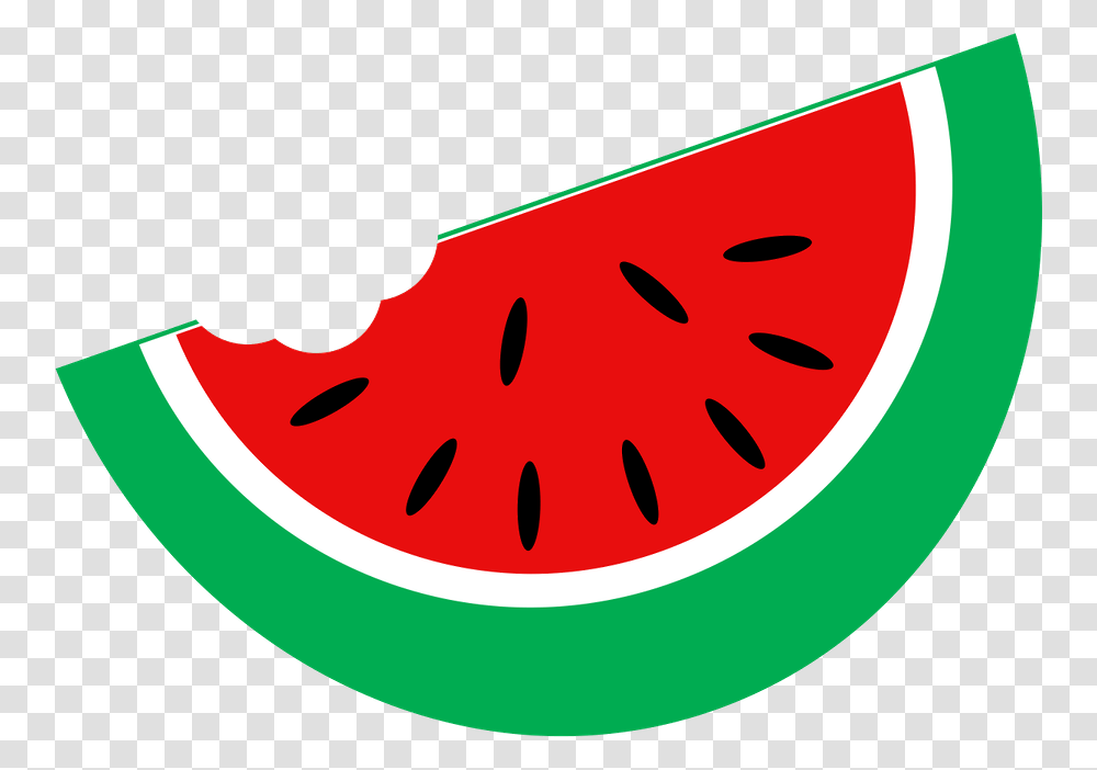 One Watermelon Seed Clip Art Loadtve, Plant, Fruit, Food Transparent Png