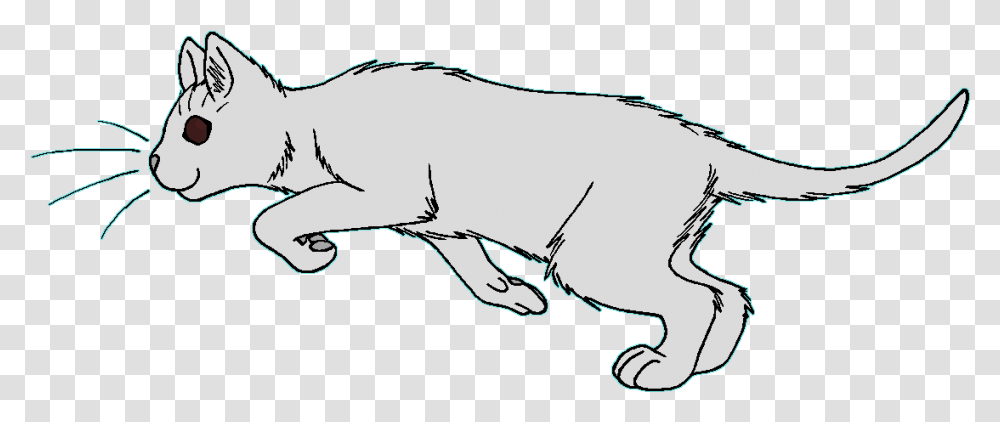 Oneeyes Warrior Cats Weedwhisker, Mammal, Animal, Horse, Sea Life Transparent Png
