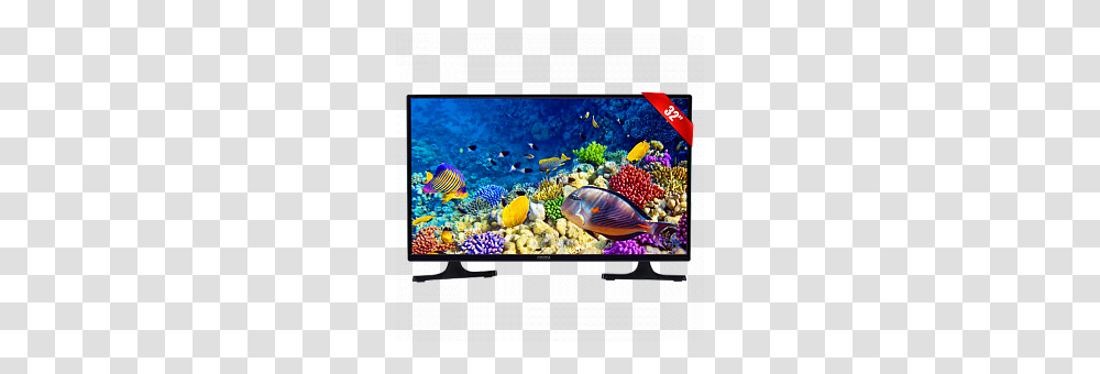 Onida Inch Hd Led Hdmiusb Television Price In Us, Monitor, Screen, Electronics, Display Transparent Png