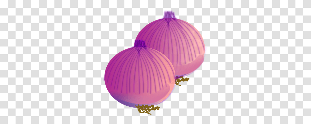 Onion Food, Balloon, Lamp, Lighting Transparent Png