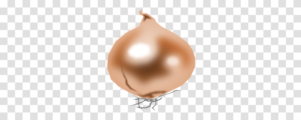 Onion Nature, Accessories, Accessory, Jewelry Transparent Png