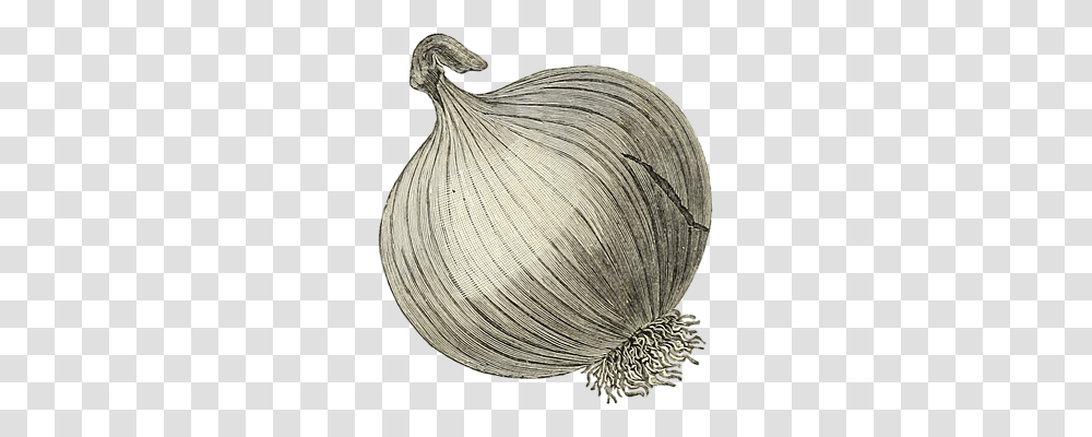 Onion Nature, Plant, Food, Vegetable Transparent Png