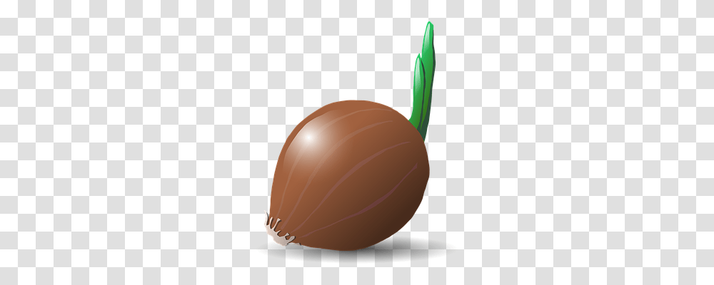 Onion Technology, Plant, Vegetable, Food Transparent Png