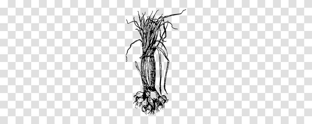 Onion Nature, Gray, World Of Warcraft Transparent Png