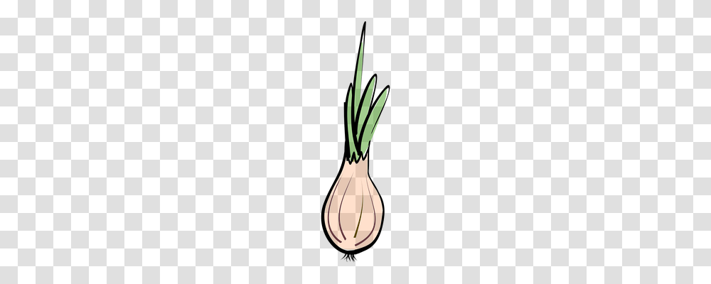 Onion Plant, Vegetable, Food, Carrot Transparent Png