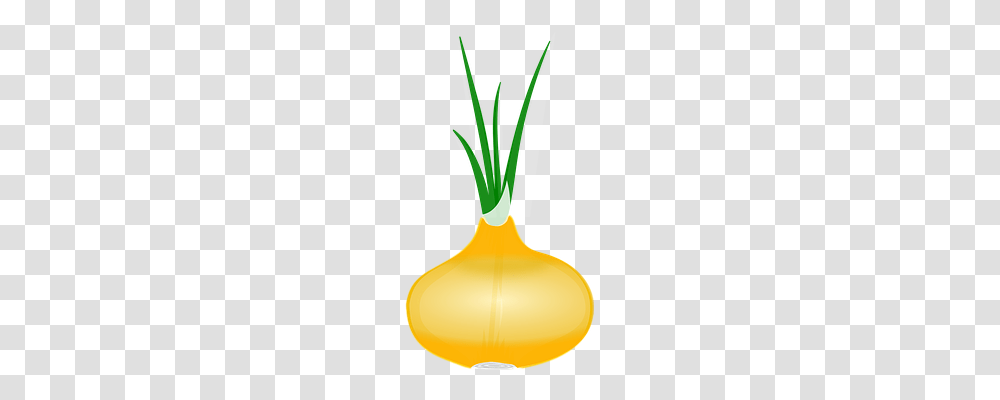 Onion Nature, Plant, Flower, Blossom Transparent Png