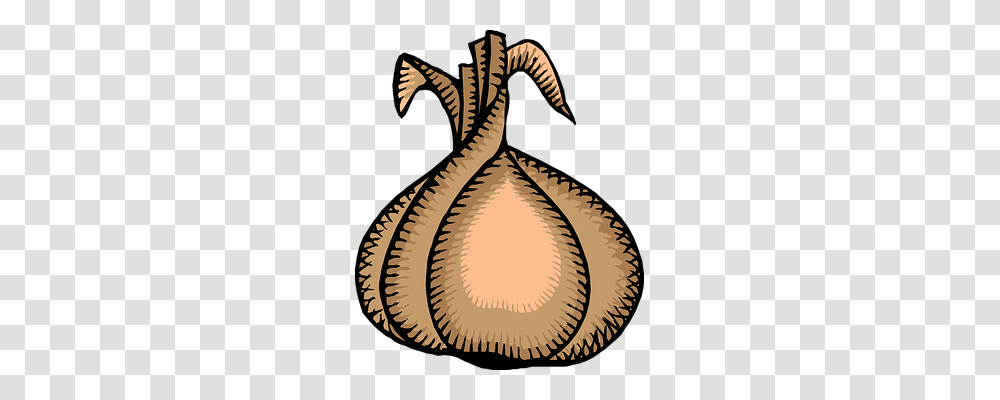 Onion Technology, Rug, Zebra, Mammal Transparent Png