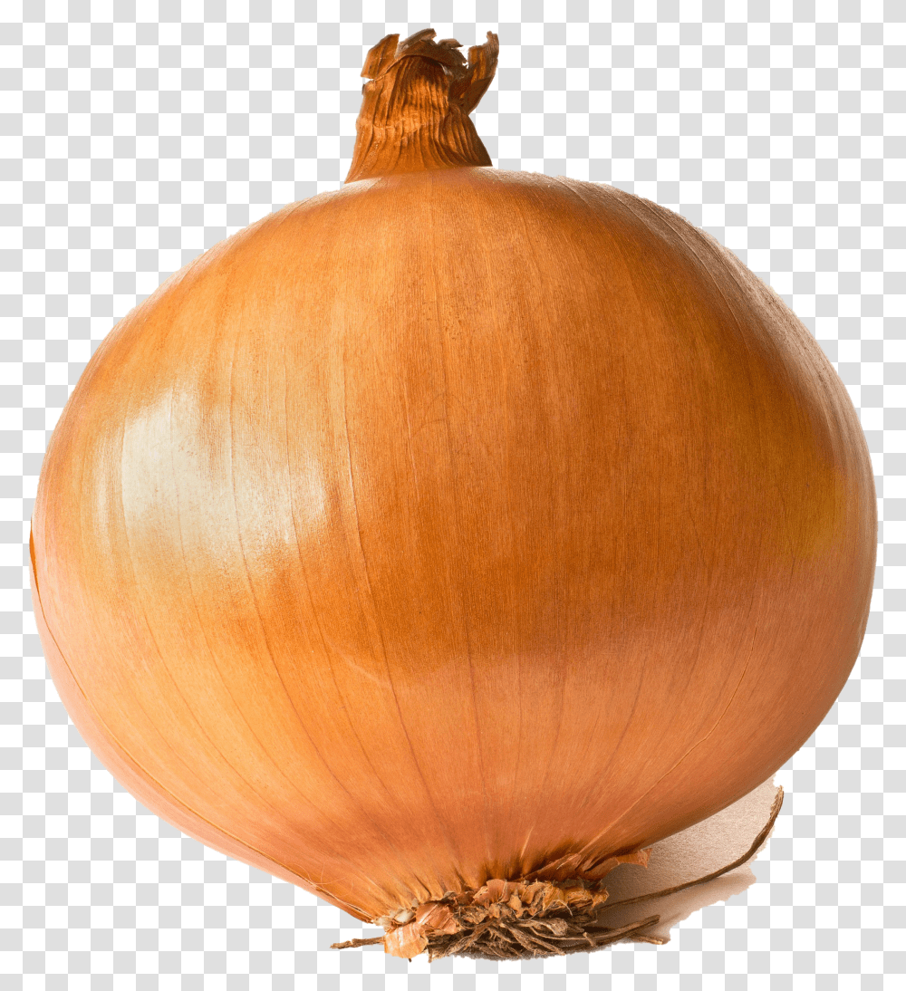 Onion Background Large Onion Transparent Png