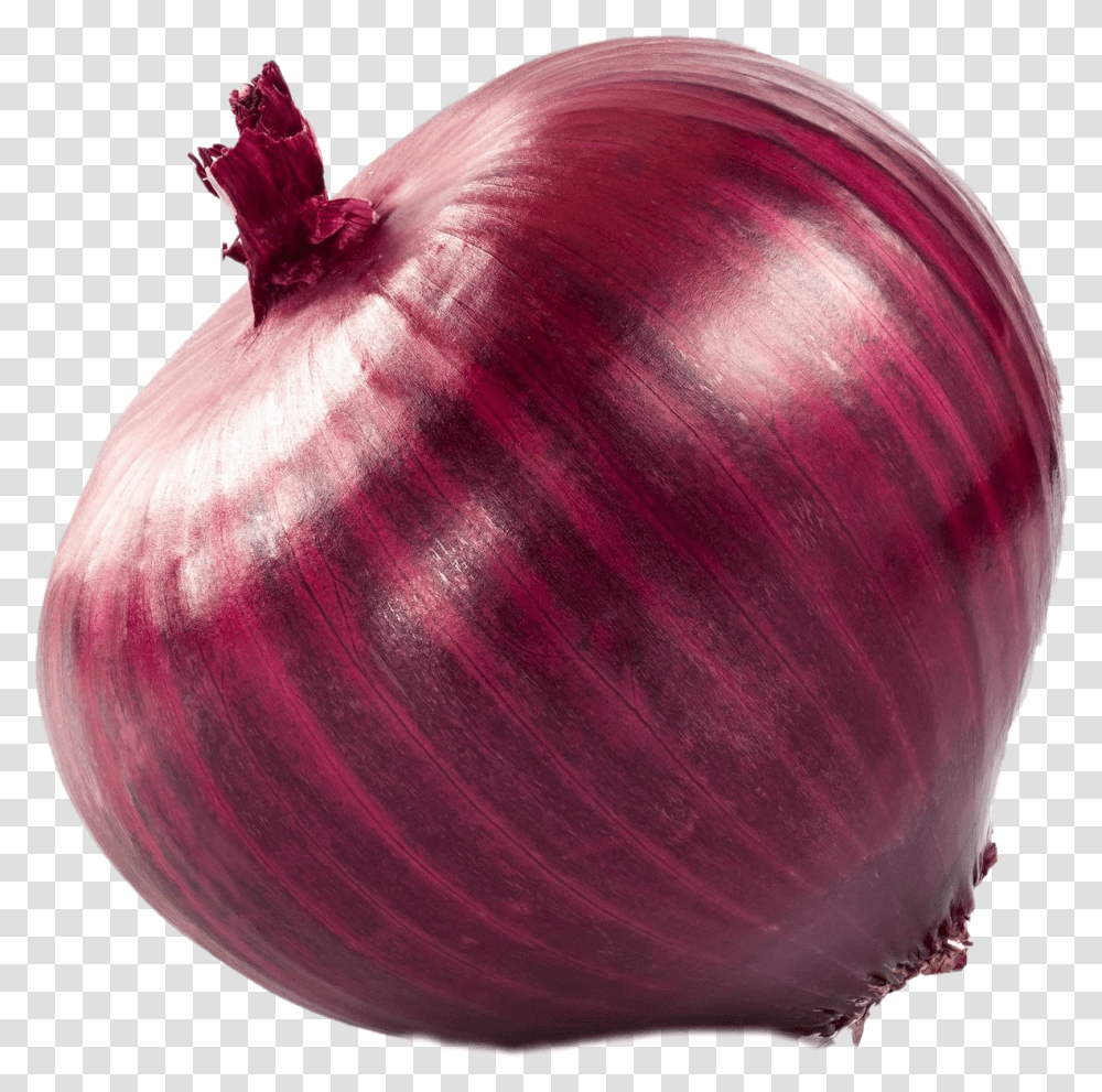 Onion plays