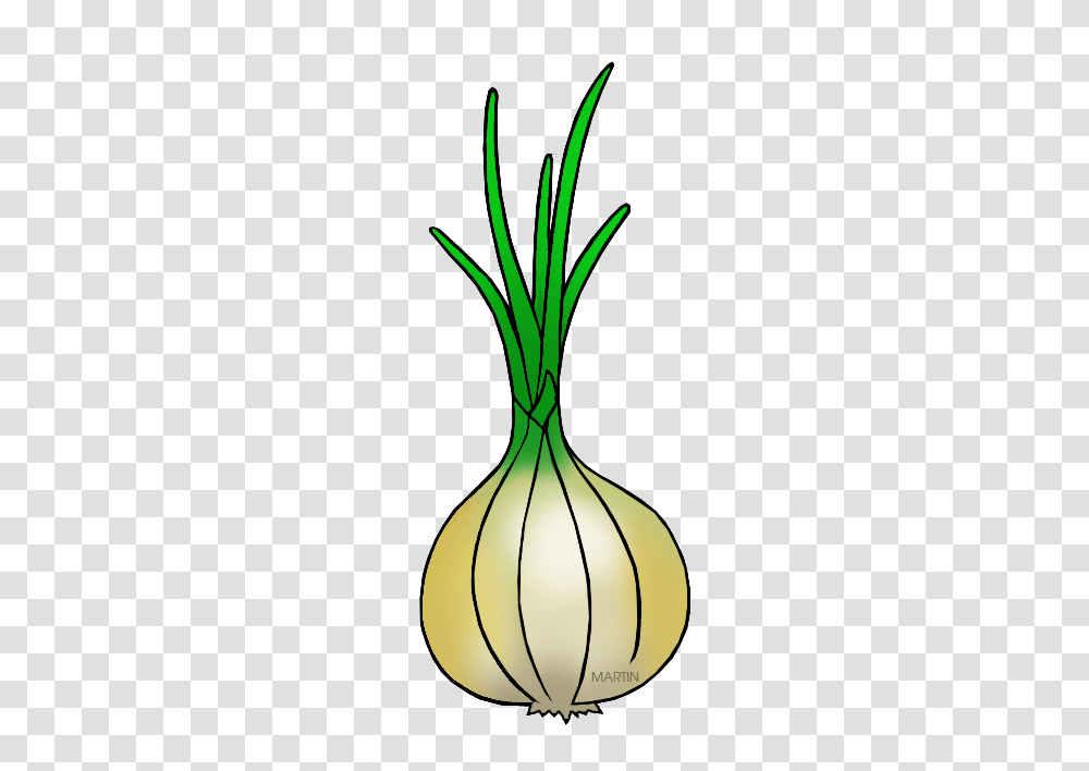Onion Bulbs Clipart, Plant, Vegetable, Food, Shallot Transparent Png