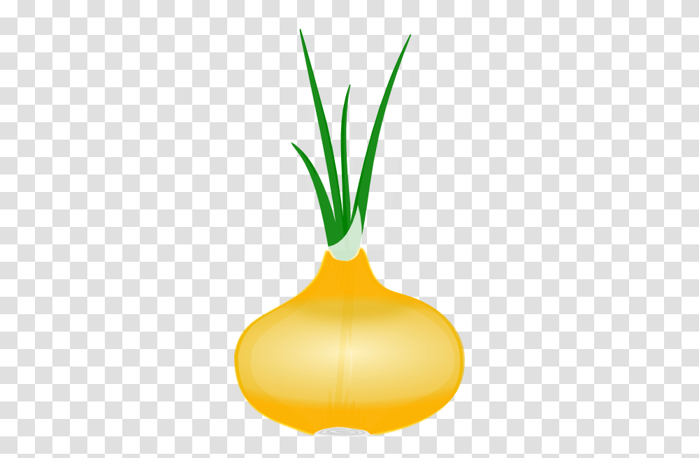 Onion Clip Art Free Vector, Plant, Vegetable, Food, Produce Transparent Png
