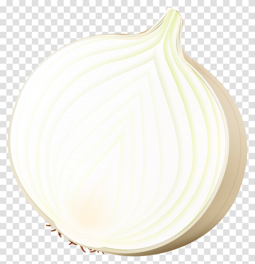 Onion Clip Art Image Download Transparent Png