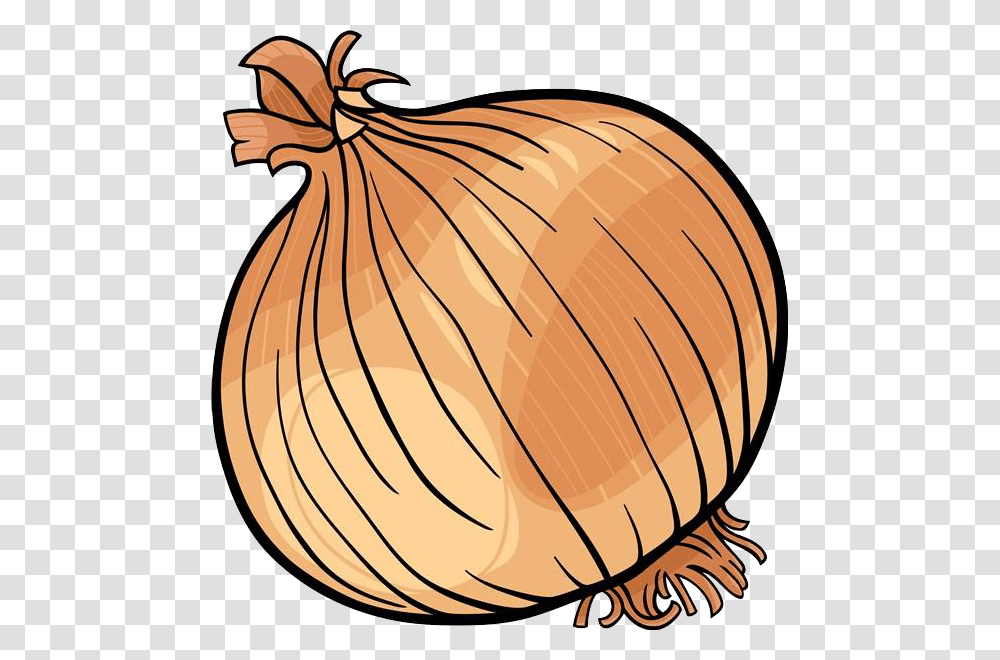 Onion Clipart Fruit Vegetable Onion Black And White, Plant, Food, Shallot, Banana Transparent Png