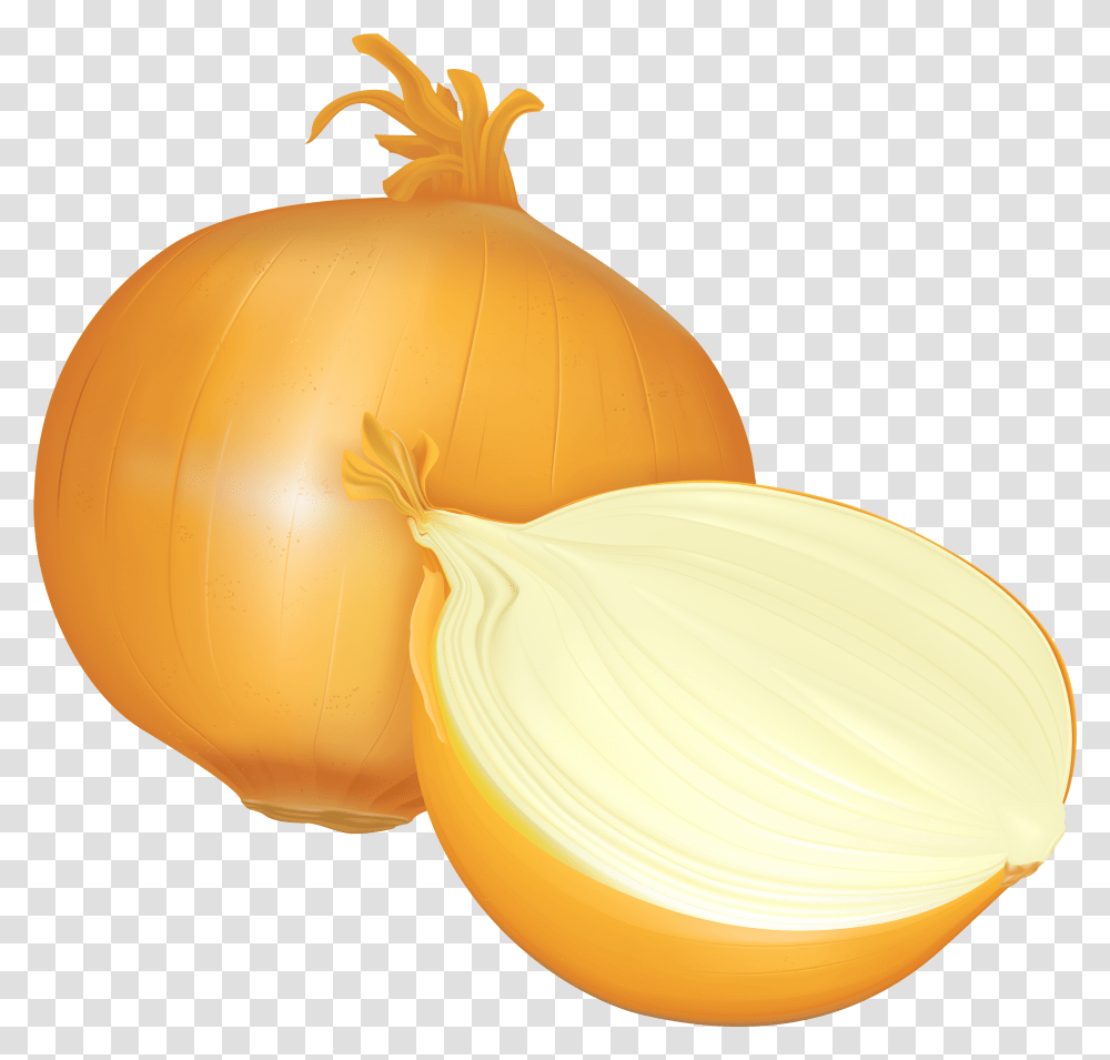 Onion Clipart Onion Clipart, Plant, Vegetable, Food, Lamp Transparent Png