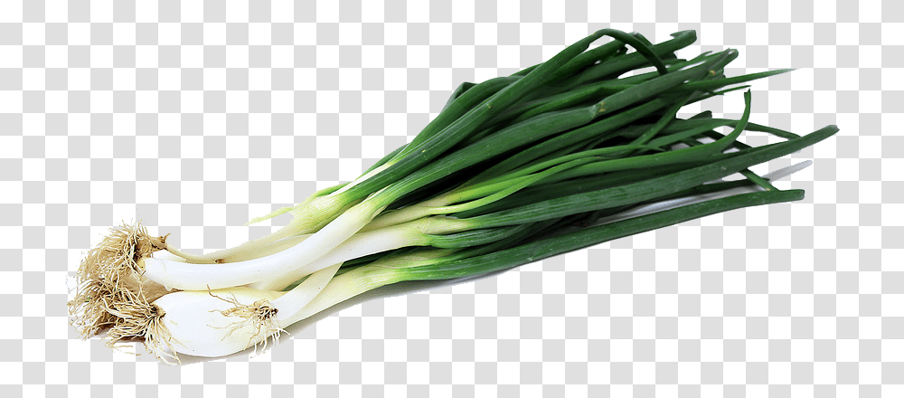 Onion Clipart Onion Slice Green Onion, Plant, Produce, Food, Vegetable Transparent Png