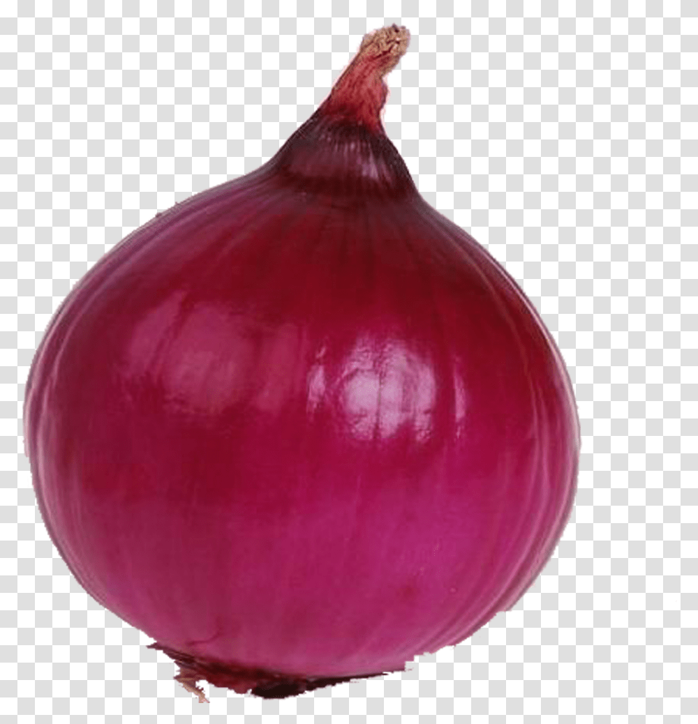 Onion Clipart, Plant, Shallot, Vegetable, Food Transparent Png