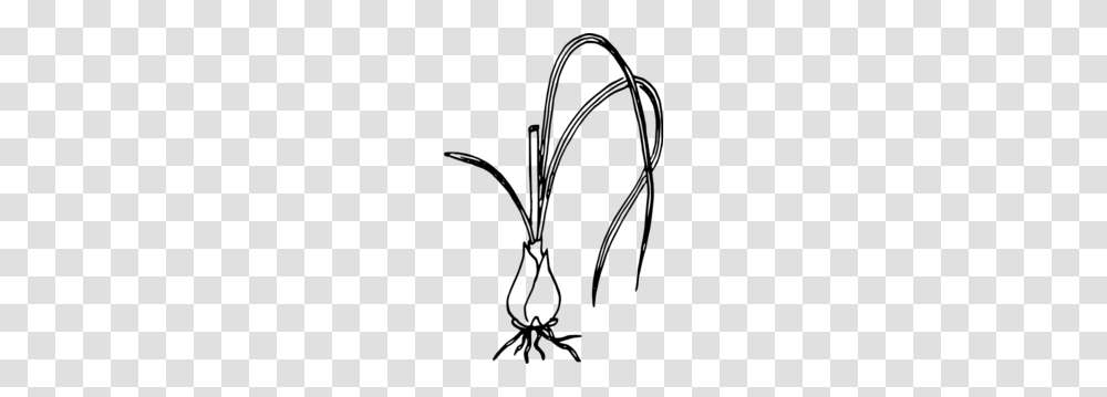 Onion Cliparts, Gray, World Of Warcraft Transparent Png