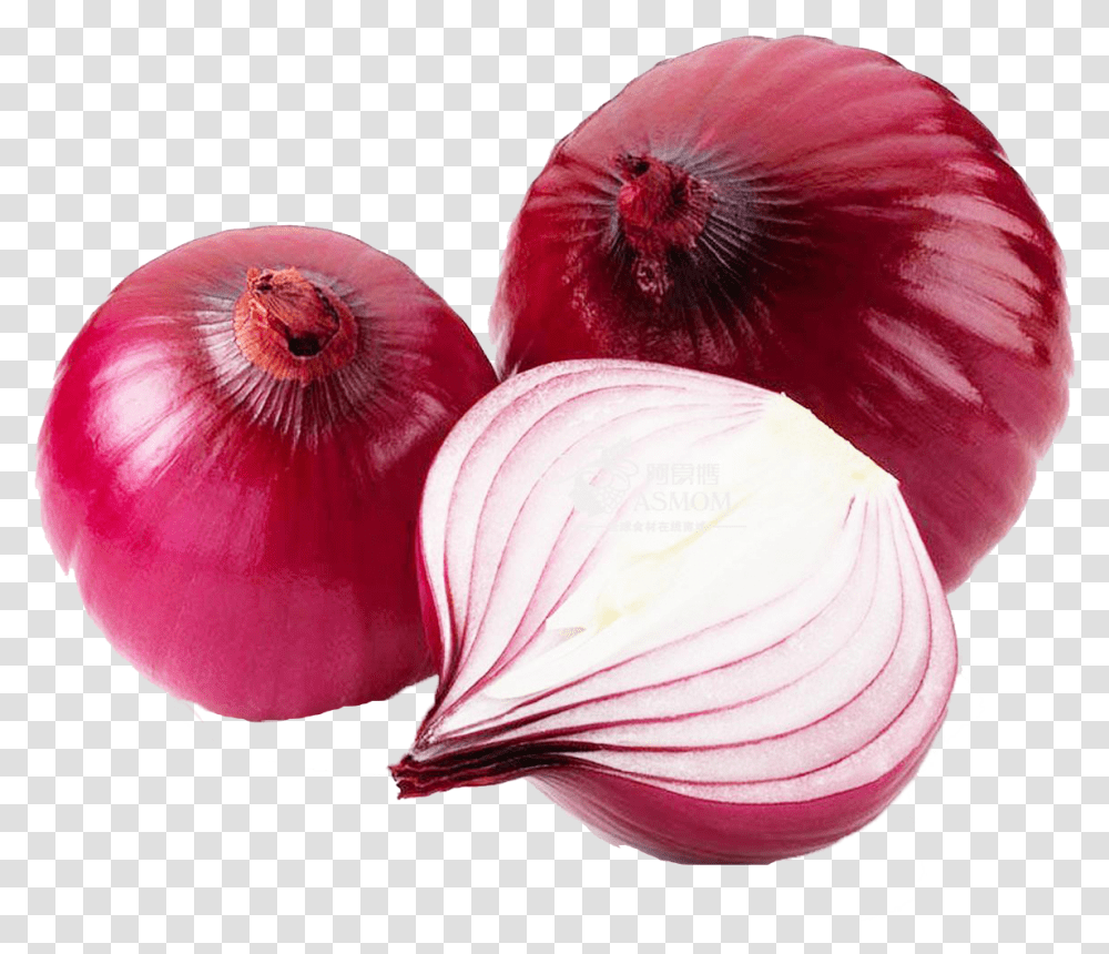 Onion Download Free Allium Cepa Linn, Plant, Shallot, Vegetable, Food Transparent Png