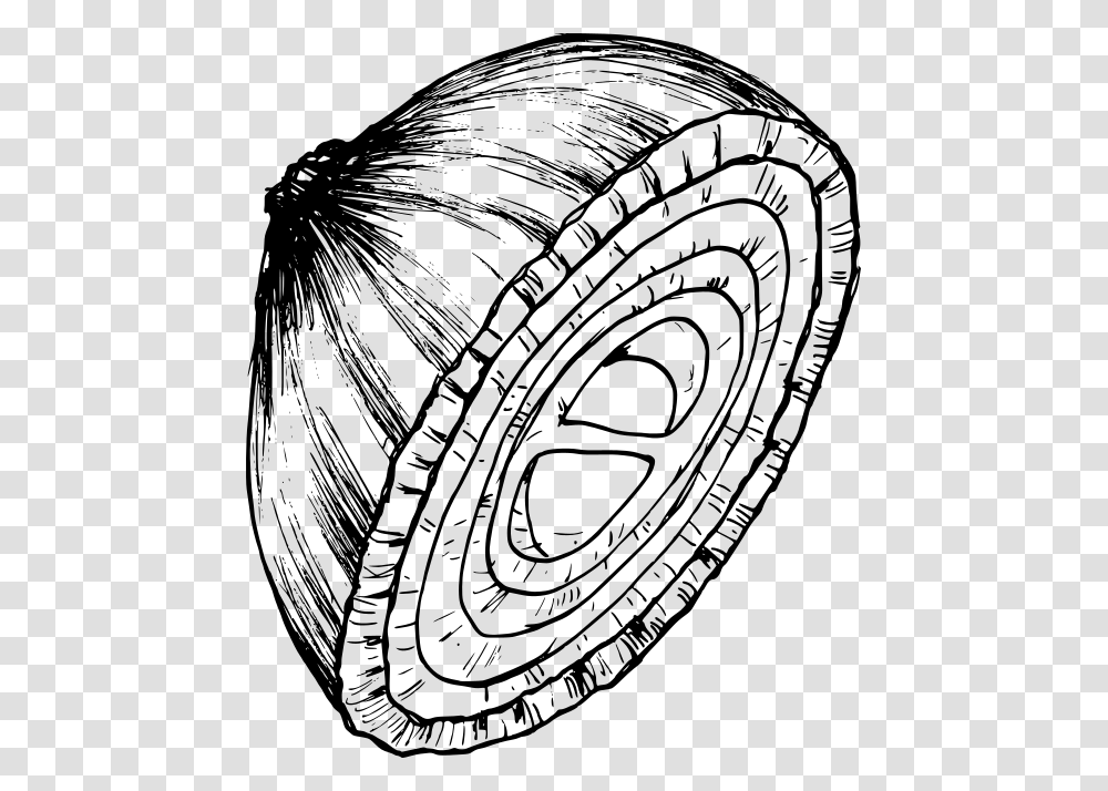 Onion Drawing 1 Circle, Gray, World Of Warcraft Transparent Png