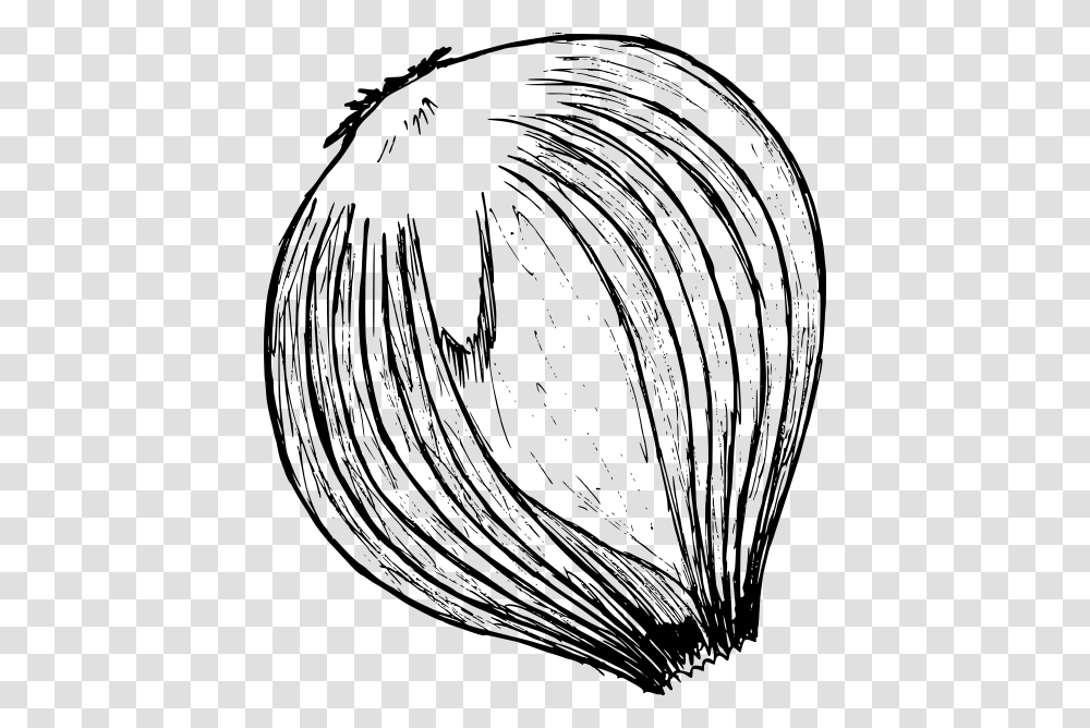 Onion Drawing 2 Sketch, Gray, World Of Warcraft Transparent Png