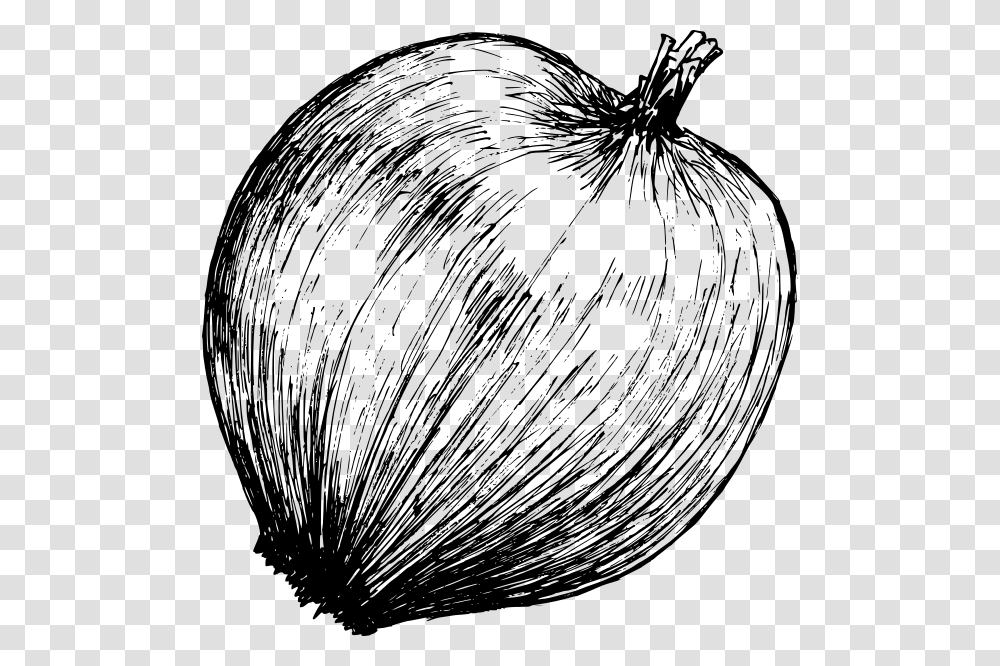 Onion Drawing 3 Vegetable, Gray, World Of Warcraft Transparent Png