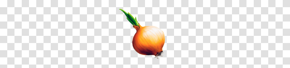 Onion Free Download, Plant, Vegetable, Food, Shallot Transparent Png