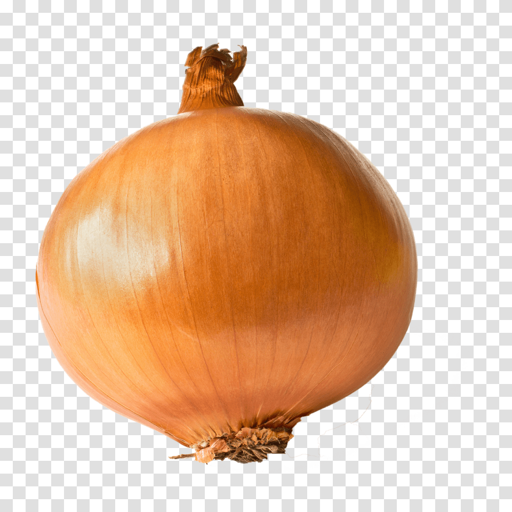 Onion Free Images, Plant, Lamp, Shallot, Vegetable Transparent Png