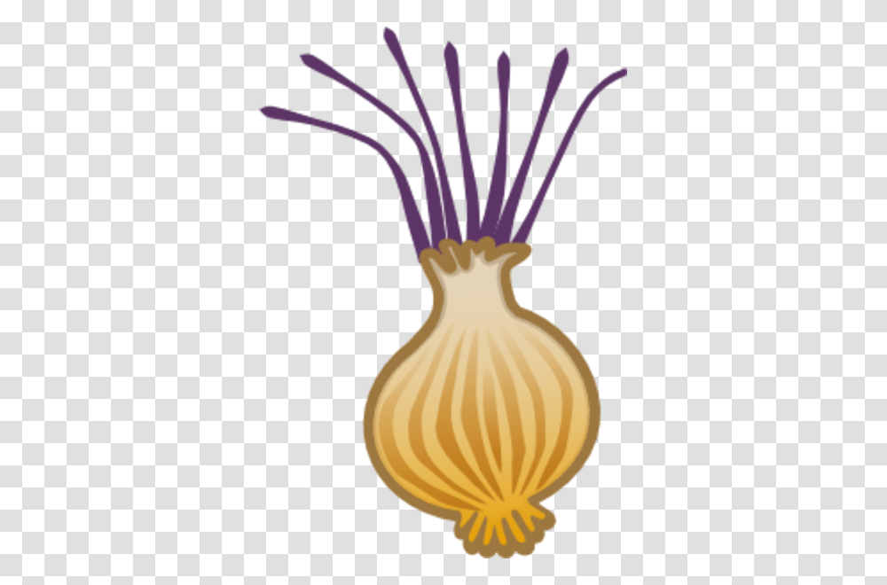 Onion Free Images, Plant, Produce, Food, Vegetable Transparent Png