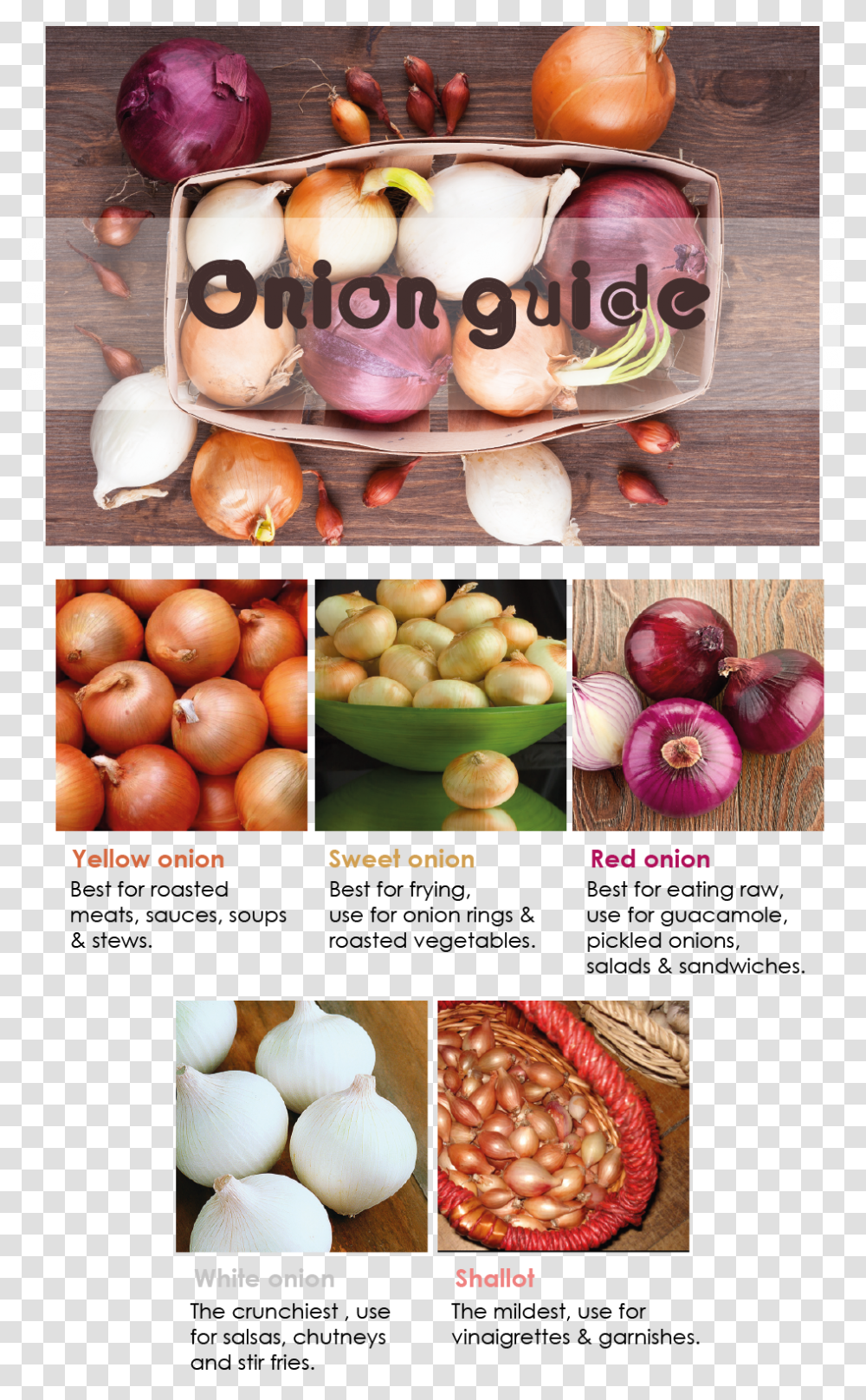 Onion Guide Onions, Plant, Vegetable, Food, Shallot Transparent Png