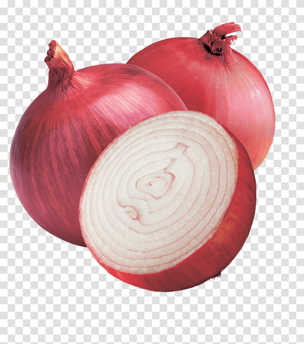 Onion Hd Wallpaper Onion, Plant, Shallot, Vegetable, Food Transparent Png