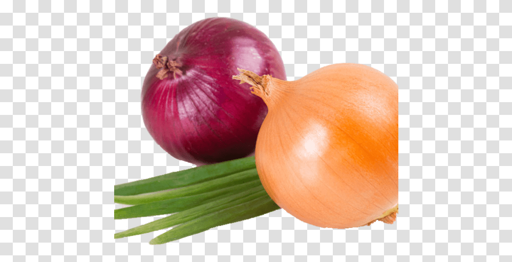 Onion Home Min, Plant, Shallot, Vegetable, Food Transparent Png